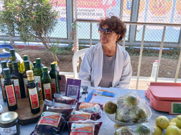 Agricultores de olivo alertan caída de producción de aceituna por efectos de El Niño