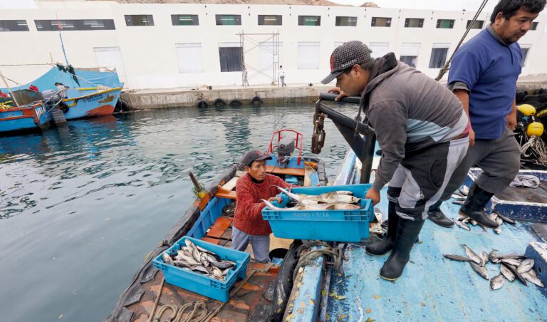 El Niño afectará la pesca y la economía local en Ilo
