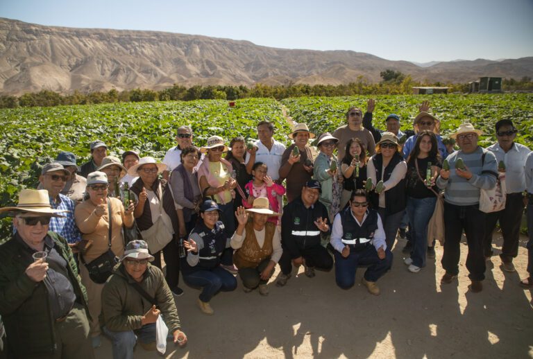 Escuela de Campo de Southern Perú fortaleció conocimientos de agricultores del valle de Ilo
