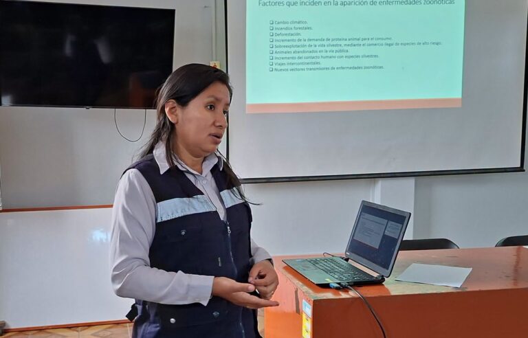 Emiten alerta nacional por influenza aviar: descartan casos en Ilo y Moquegua