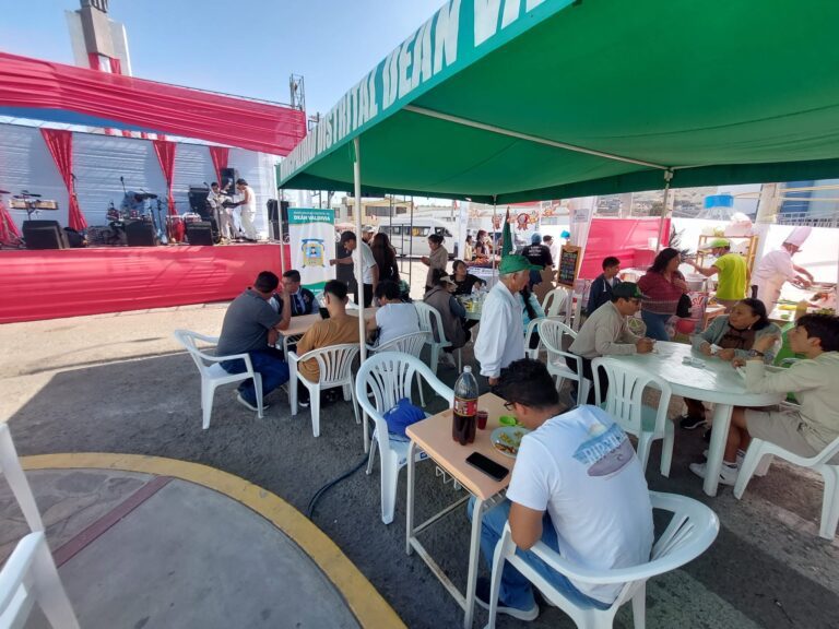Deán Valdivia tendrá paseos turísticos y festival gastronómico por Fiestas Patrias 