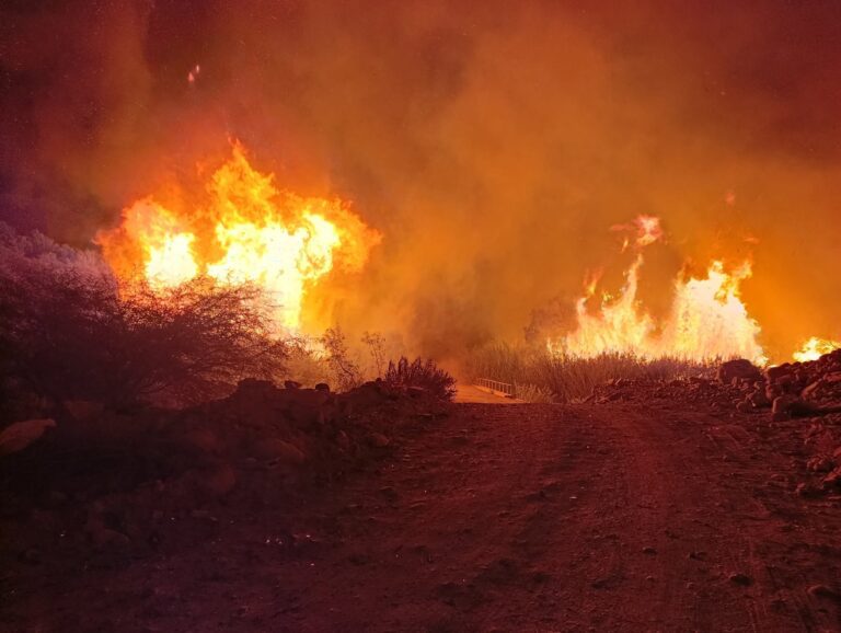 Incendio forestal de gran magnitud arrasó áreas naturales y terrenos de cultivo en Omate
