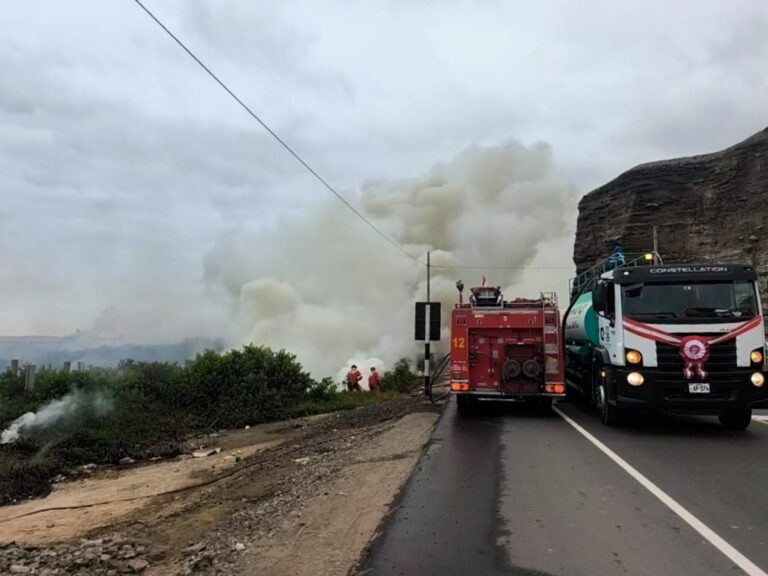 Incendio forestal en la Aviación movilizó a bomberos en Mollendo 