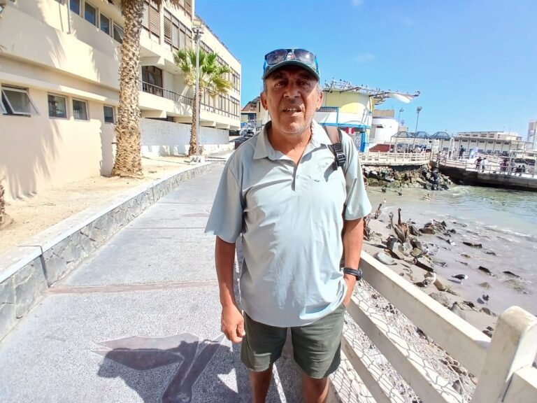 Piden pronunciamiento de Serfor y Senasa ante muerte de fauna marina
