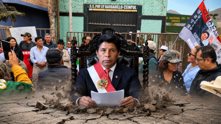 Libertad de Pedro Castillo, entre lo jurídico y lo político
