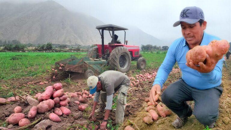 Agricultores del Valle de Tambo serán reconocidos como “Héroes del campo”