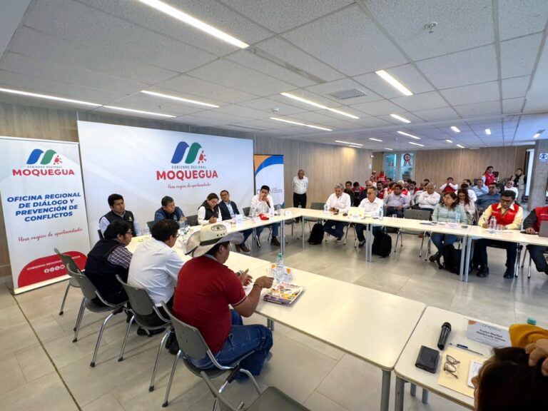 Comité de Monitoreo observa cronograma de la represa Asana y crea subgrupo técnico