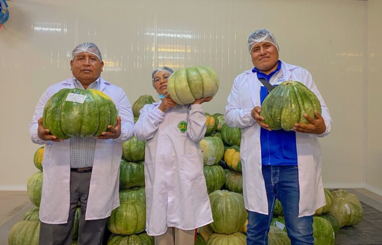 25 toneladas de zapallo moqueguano cruzan la frontera rumbo al mercado chileno