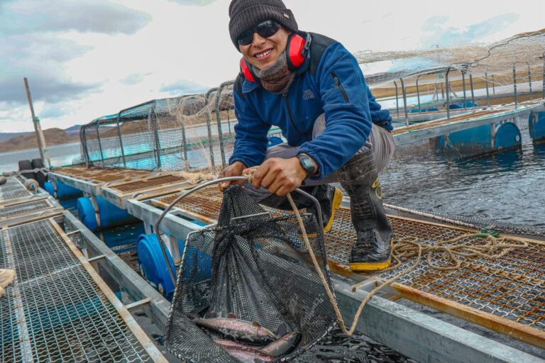 Acuicultores de Arequipa enfrentan trabas para formalizarse