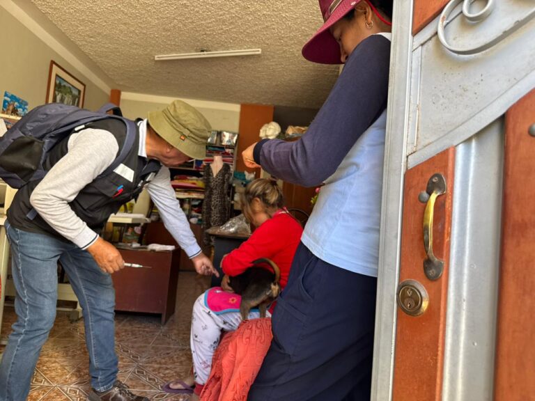 Brigadas realizan vacunación antirrábica casa por casa en Moquegua