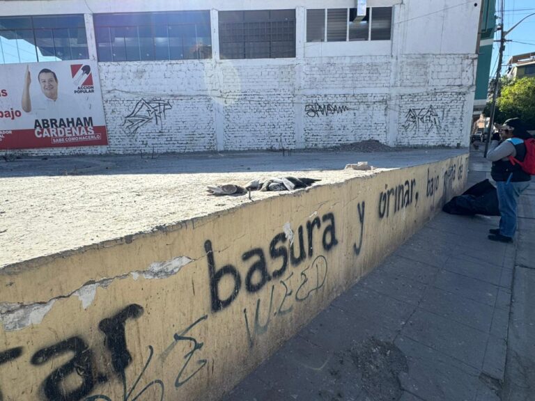 Hallan gran cantidad de palomas muertas en parque Omate de Moquegua