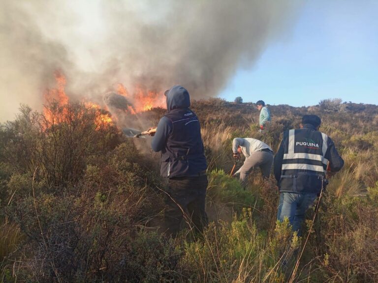 Incendio afectó 150 hectáreas de pastizales en la zona alta de Puquina