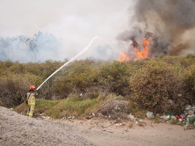 Incendio forestal consume matorrales en El Algarrobal 