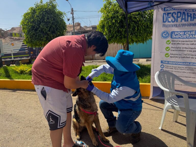 Más de 900 perros fueron vacunados contra la rabia en San Antonio durante agosto