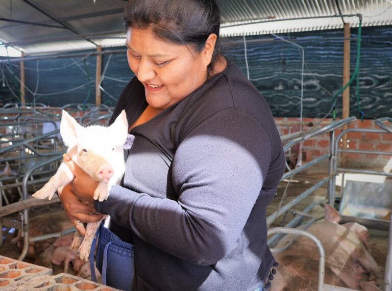 Productores de Chen Chen reciben bienes para fortalecer crianza de porcinos