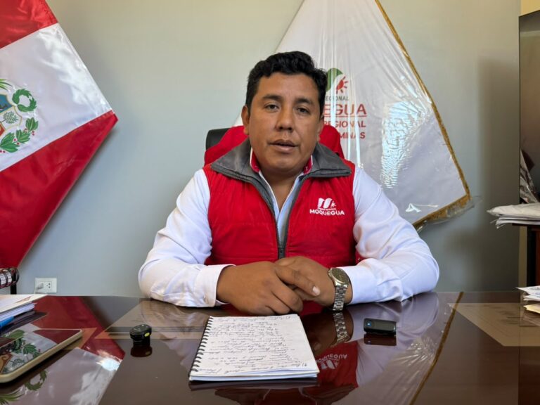 Dirección de Energía y Minas ejecuta tres proyectos eléctricos en Moquegua