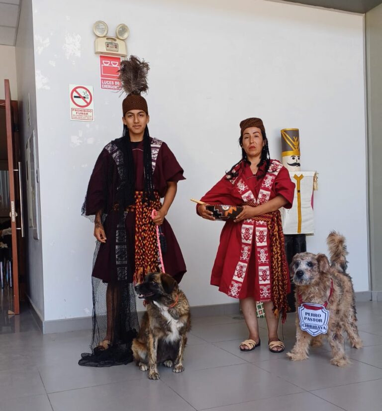 Actividades por 1° aniversario del perro Chiribaya como patrimonio cultural