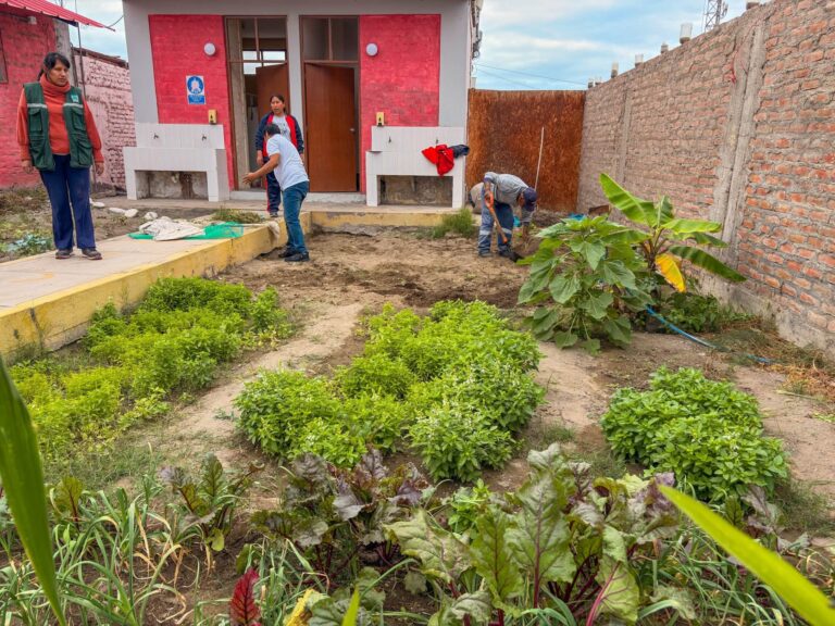 Deán Valdivia da seguimiento a nuevas siembras en biohuertos escolares