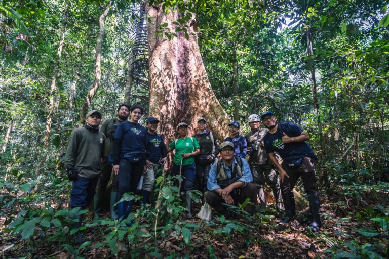 Caja Arequipa visitó las 39 hectáreas de bosque amazónico que protege junto a Arbio Perú en Madre de Dios