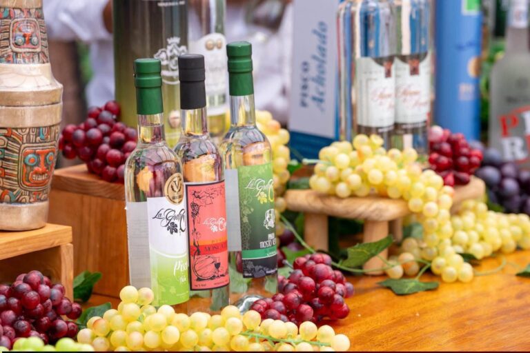 Amplían hasta el 2 de octubre inscripción al Concurso Nacional del Pisco 2026