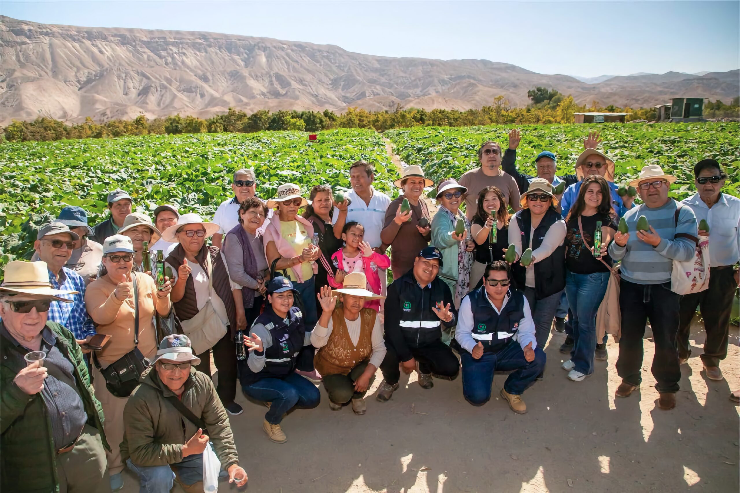 Escuela de Campo fortalece capacidades de agricultores del valle de Ilo 1 Escuela de Campo Southern Peru 0826 2 scaled La Prensa Regional