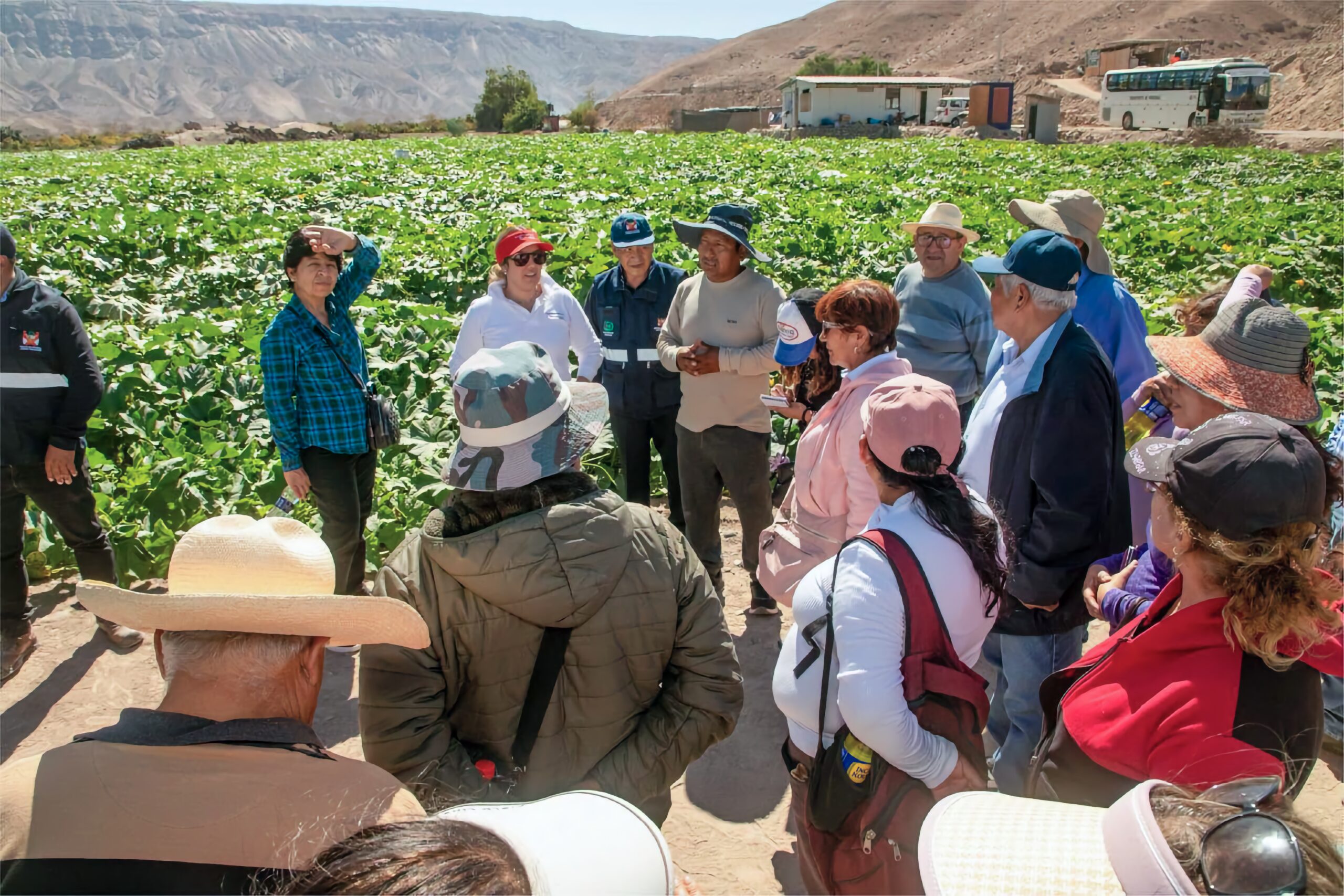 Escuela de Campo fortalece capacidades de agricultores del valle de Ilo 2 Escuela de Campo Southern Peru 0826 3 scaled La Prensa Regional