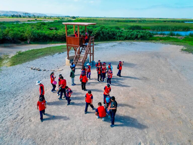 Programan limpieza en Lagunas de Mejía