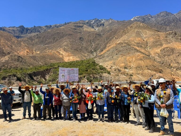 Fondo de Desarrollo inicia puente peatonal para conectar Cacahuara y Candahua en Matalaque