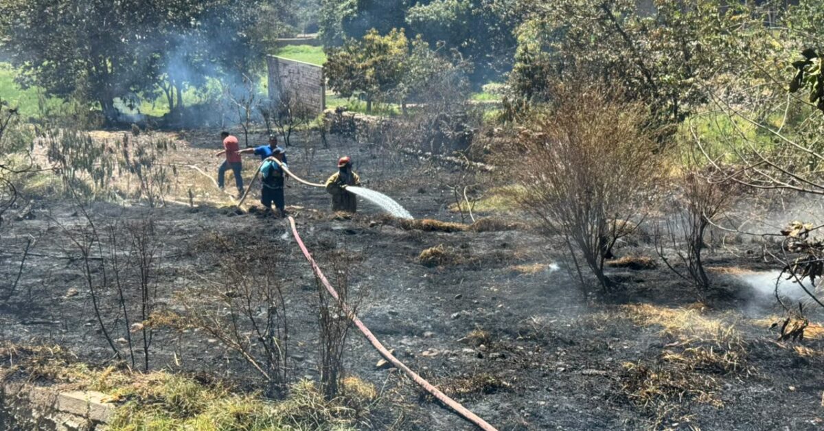 Incendio afecta plantaciones y arbustos en una chacra de Samegua