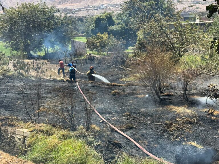 Incendio afecta plantaciones y arbustos en una chacra de Samegua
