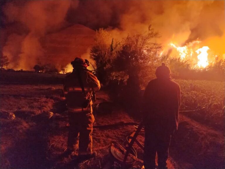 Incendio forestal afecta media hectárea de cobertura natural en San Antonio