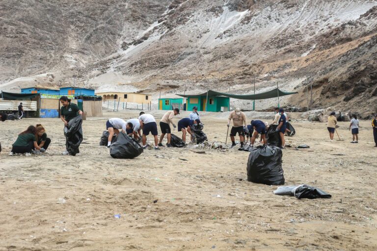 Caleta Centeno: residuos orgánicos serán usados para compost