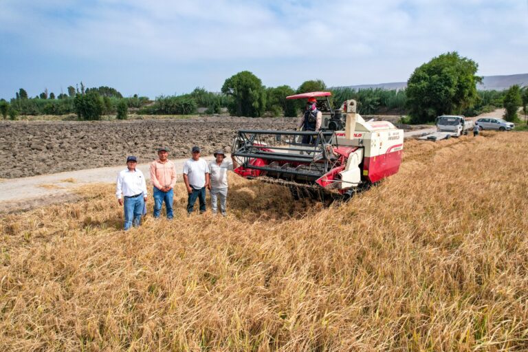 Más de 1400 agricultores del valle de Tambo acceden a cosecha mecanizada