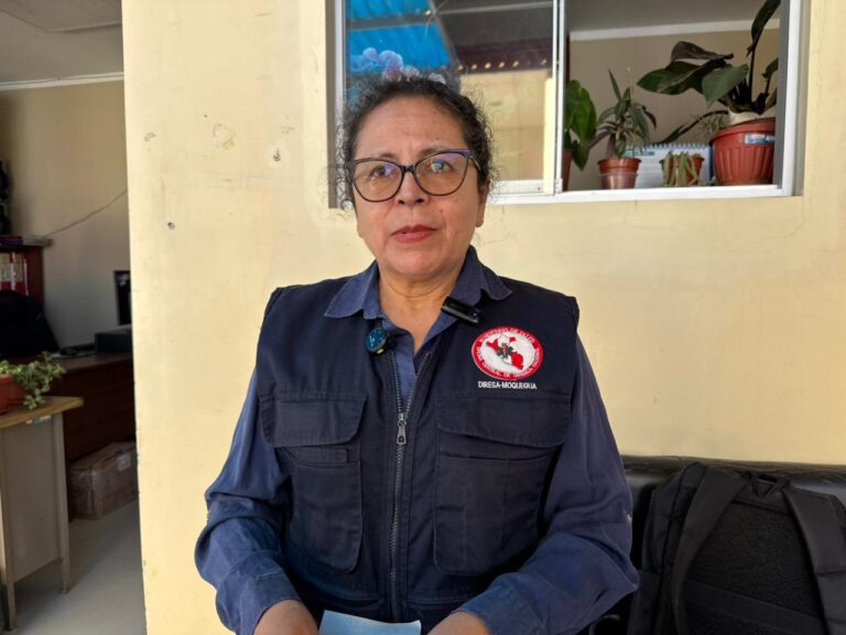 Moquegua intensifica búsqueda del mosquito transmisor del dengue ante riesgo de ingreso