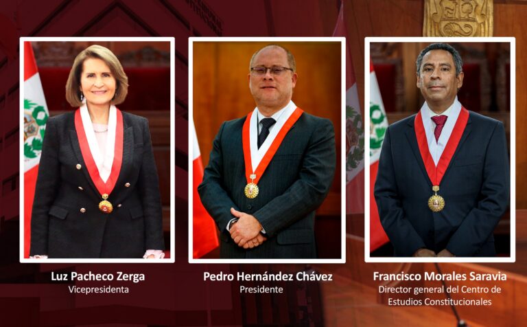 Pedro Hernández Chávez es el nuevo presidente del Tribunal Constitucional
