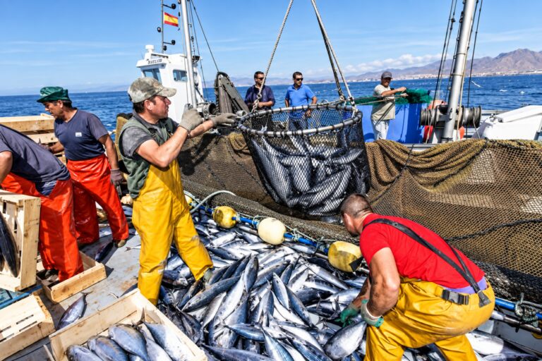 Produce activa plan de emergencia para pesca y acuicultura ante El Niño