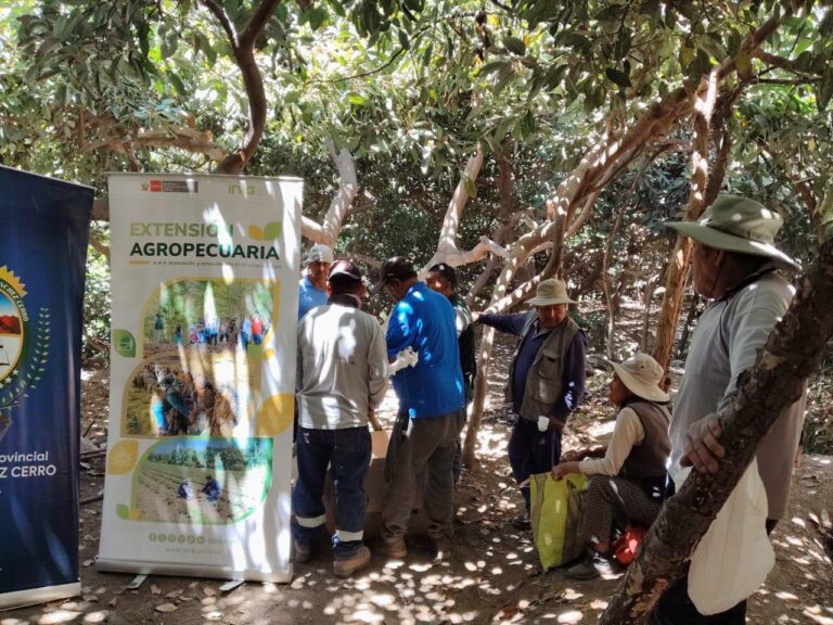 Productores de General Sánchez Cerro reciben capacitación y asistencia técnica para mejorar cultivos