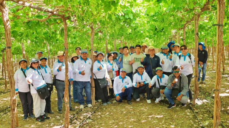 Productores de vid de San Antonio reciben capacitación técnica en Arequipa e Ica