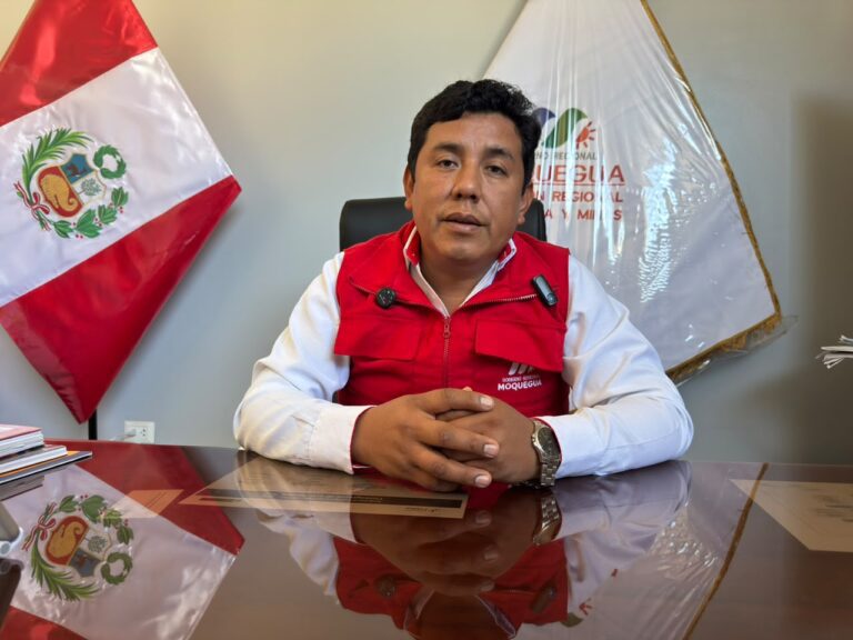 Proyecto Colquemayo prevé iniciar perforación exploratoria en Coalaque