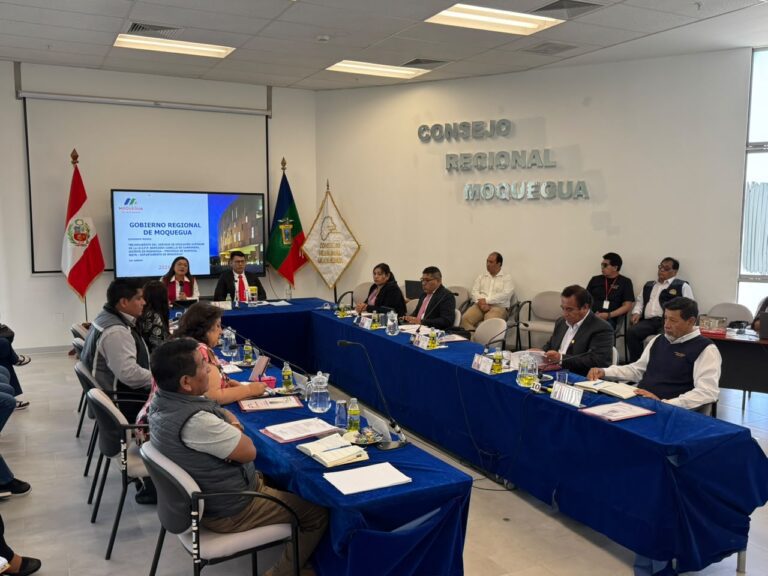 Consejo Regional da luz verde al proyecto habitacional Las Diamelas