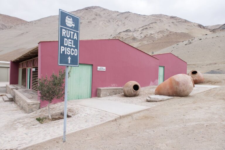Amplían hasta el 2 de octubre inscripción para Concurso Nacional del Pisco