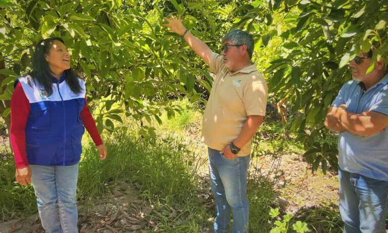 Empresarios chilenos recorren campos de Moquegua tras rueda de negocios
