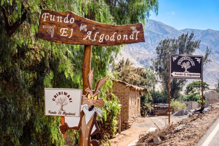 Fundo El Algodonal – Chiriwasi, un tesoro turístico por descubrir en el valle de Ilo