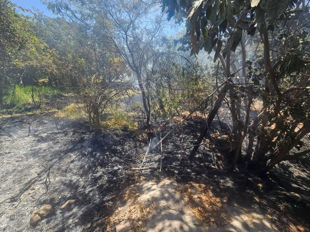 Incendio forestal afectó una hectárea de cultivos frutales en Yacango 1 Incendio en Bajo Yacango 19102026 7 La Prensa Regional