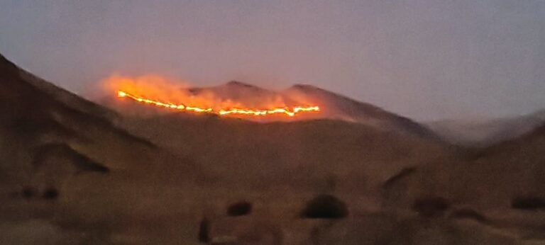 Incendio forestal de grandes proporciones se registra en San Cristóbal y anexos