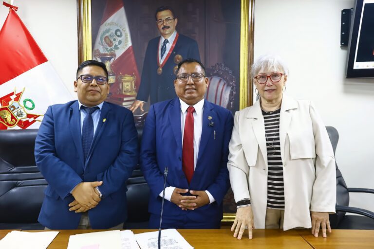 Cámara de Diputados en Mollendo