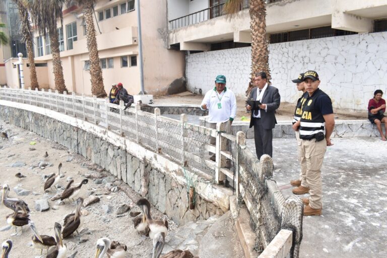 Pescadores piden mayor vigilancia en la zona “El Lenguadito” por inseguridad