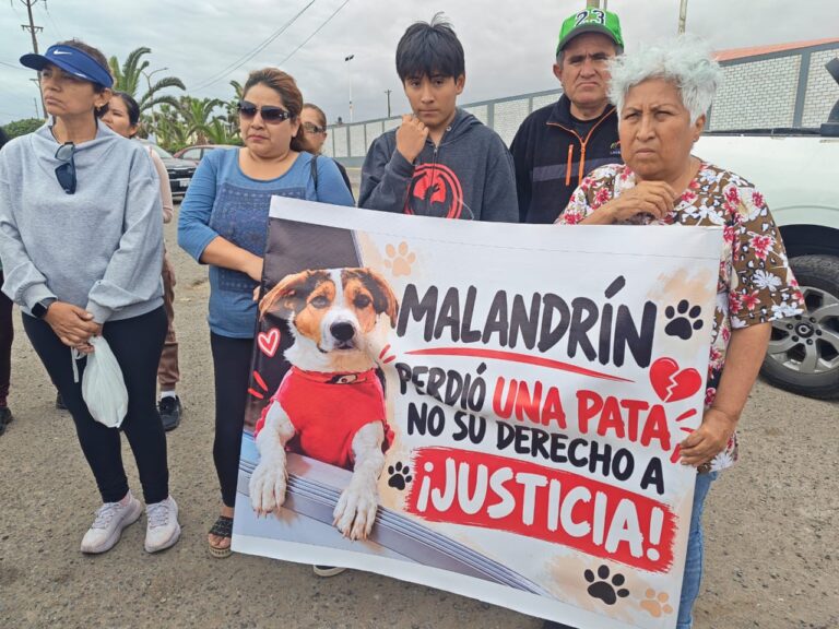 Animalistas realizan plantón y exigen justicia por ataque con perdigones al perro “Malandrín” en Ilo