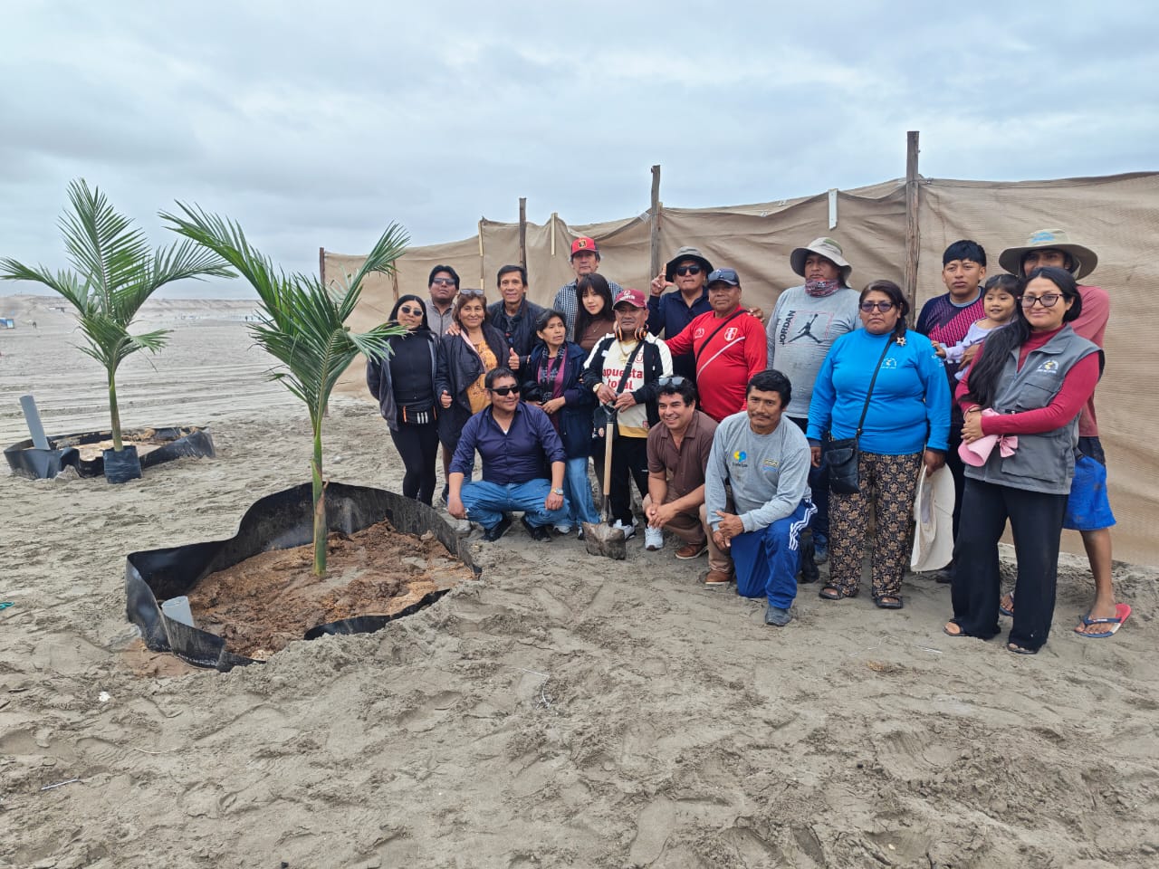 Proyecto “Ilo Verde” busca transformar las playas de Ilo con la siembra de palmeras 4 Proyecto Ilo Verde Gustavo Flores promotor 09102026 8 La Prensa Regional