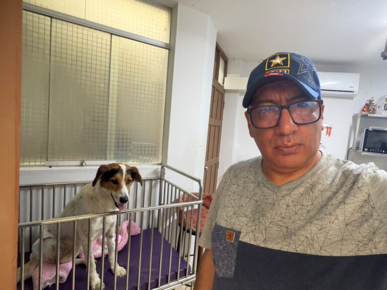 Aún no identifican a sujeto que disparó perdigones a un perro en Pacocha